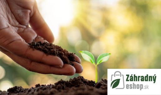 Prvé klíčky už v Januári, ktoré rastliny je vhodné vysievať už v zimnom období?