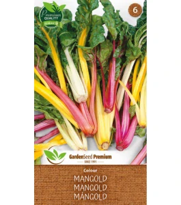 Mangold colour